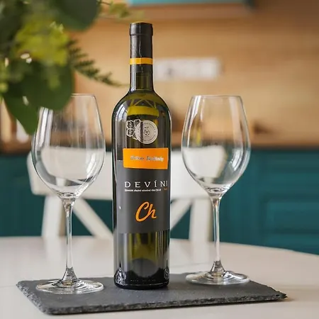 S Velkou Terasou A Balkonom V Centre Mesta! Апартаменты Братислава